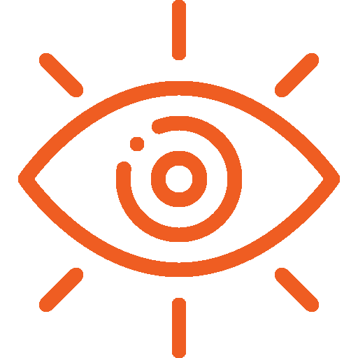 Shared vision icon